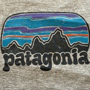 Patagonia Heather Gray Tee